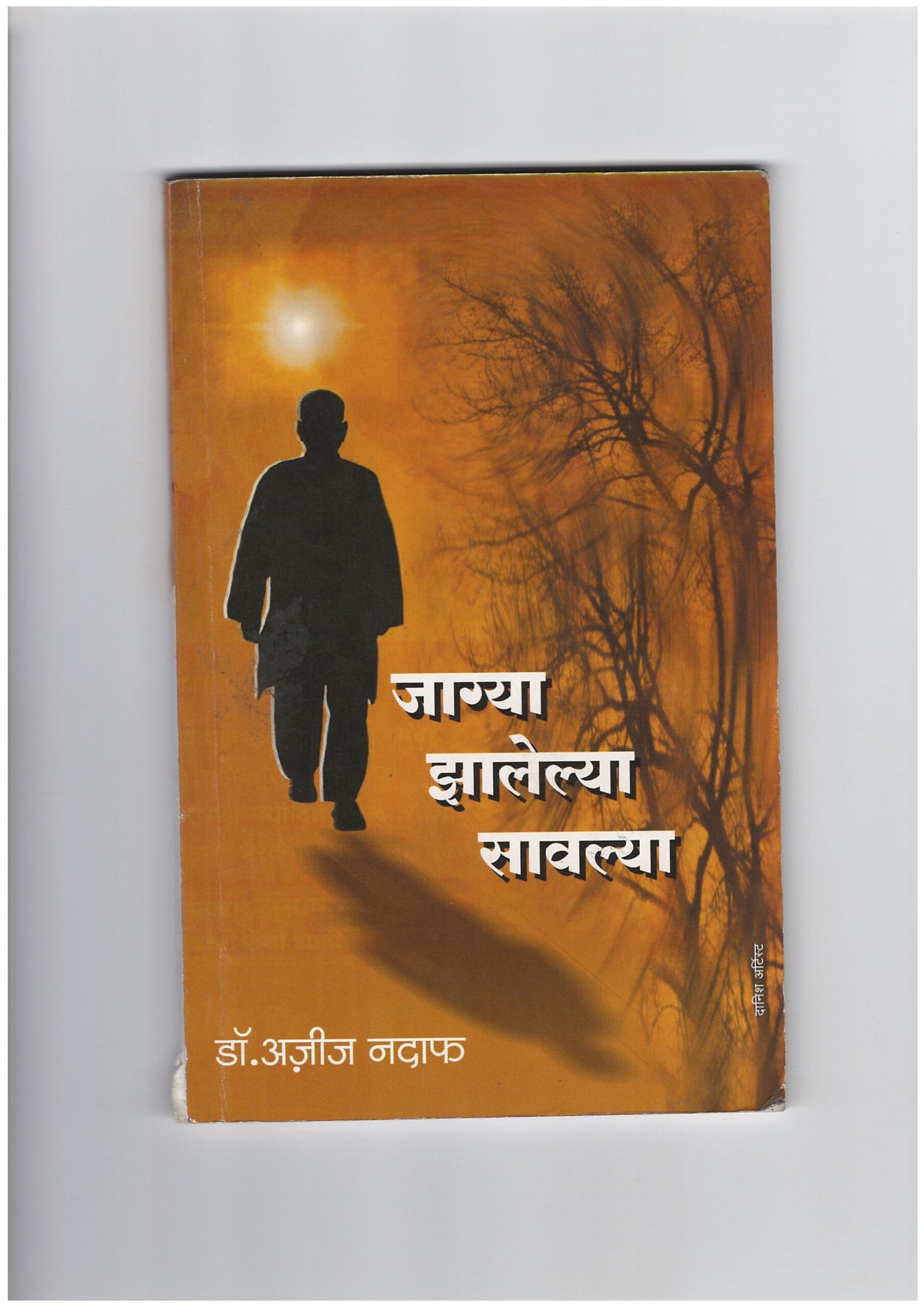 जाग्या झालेल्या सावल्या